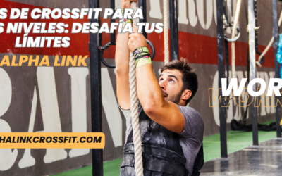 Rutinas de CrossFit para todos los niveles: Desafía tus límites en AlphaLink