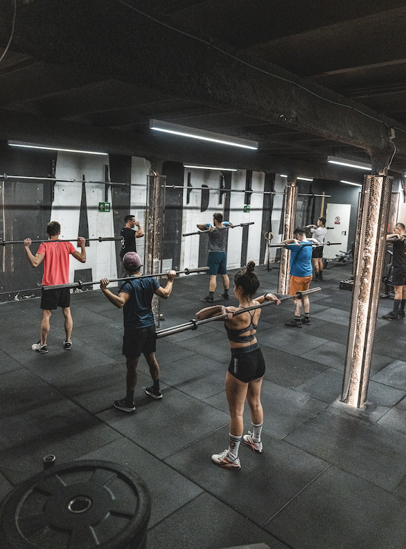 gimnasio barcelona alpha link 3