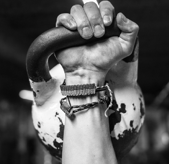 hiit workouts alpha link